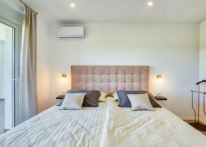 Vlahov Iii שיבניק