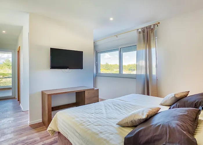 Vlahov Iii * שיבניק